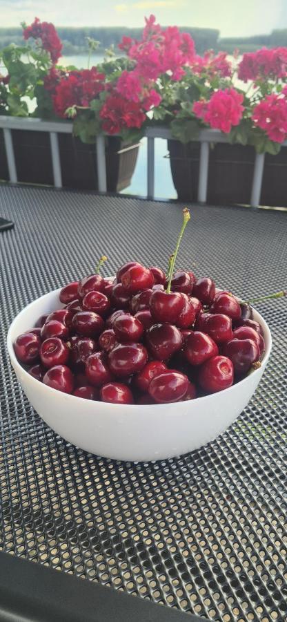 Къща За Гости Ненийски Lom Exteriör bild